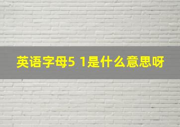 英语字母5 1是什么意思呀